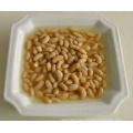 Canned White Kidney beans in brine